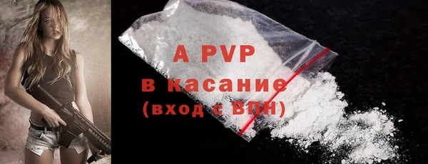 ГАЛЛЮЦИНОГЕННЫЕ ГРИБЫ Абаза