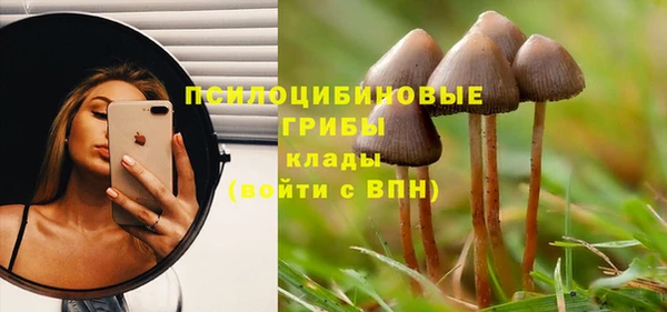 не бодяженный Бронницы