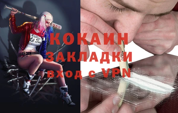 ГАЛЛЮЦИНОГЕННЫЕ ГРИБЫ Абаза
