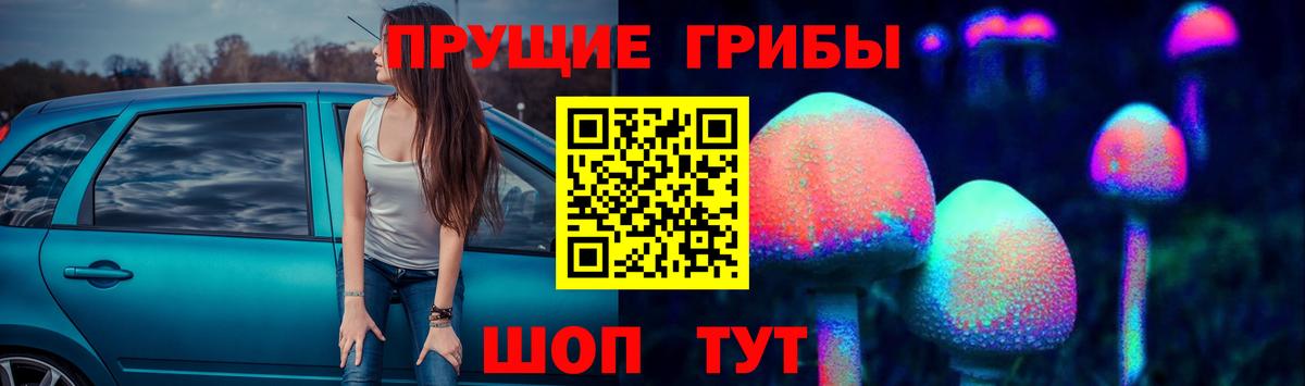 Грязи  Галлюциногенные грибы Cubensis  Вход с VPN  Псилоцибиновые грибы Psilocybine cubensis 