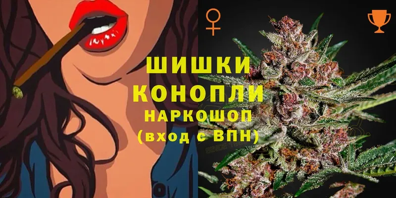 Конопля White Widow  Грязи 